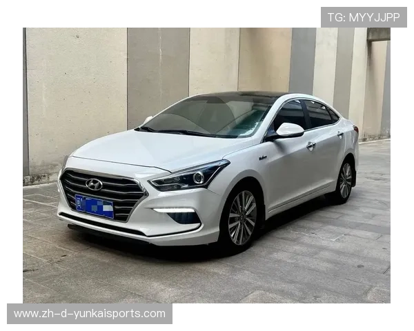 16款名图报价7万！检测师：这车见过龙王？